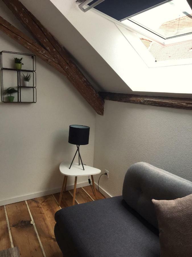 Appartement L'Ours à Colmar Extérieur photo