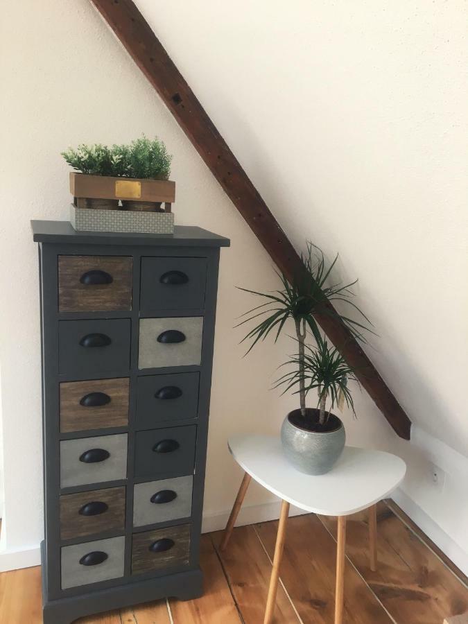 Appartement L'Ours à Colmar Extérieur photo