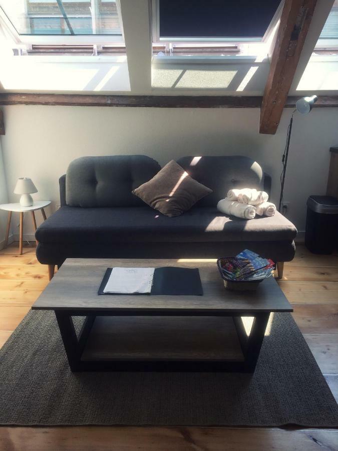 Appartement L'Ours à Colmar Extérieur photo