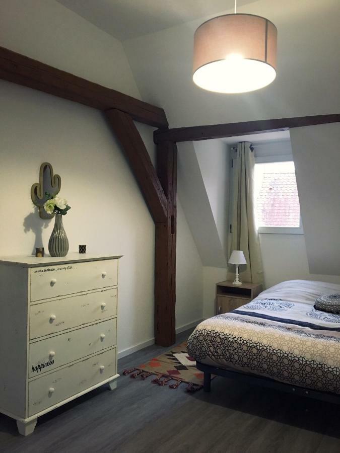 Appartement L'Ours à Colmar Extérieur photo